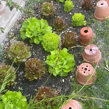 Mas Bien Etre Fourques